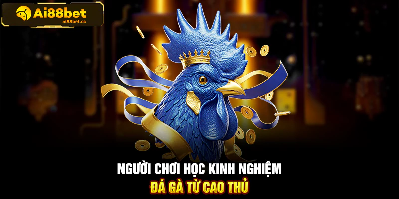 Kinh Nghiệm Chơi Đá Gà Cựa Dao Online Thắng Lớn 1 117