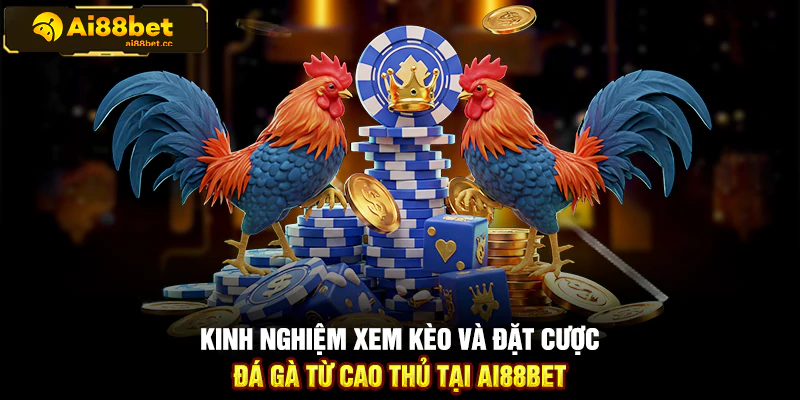 Hướng Dẫn Đặt Cược Đá Gà Cựa Sắt Trên AI88BET Chi Tiết 2 122
