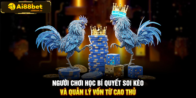 Bí Quyết Soi Kèo Và Quản Lý Vốn Khi Tham Gia Đá Gà 1 125