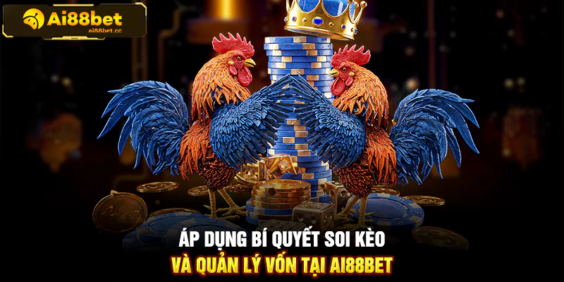 Bí Quyết Soi Kèo Và Quản Lý Vốn Khi Tham Gia Đá Gà 3 127
